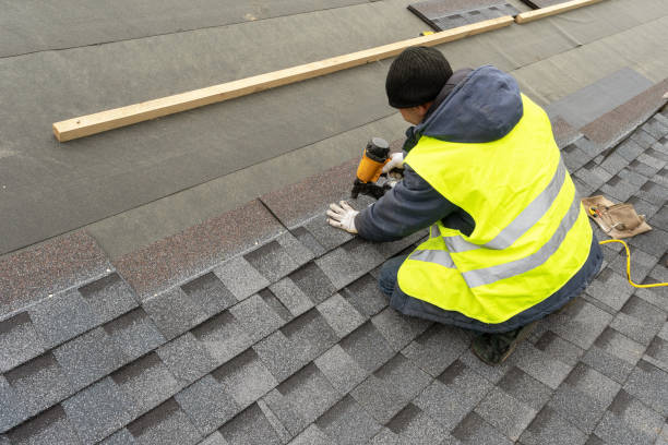 Best Roof Gutter Cleaning  in Vilonia, AR