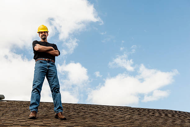 Roof Gutter Cleaning in Vilonia, AR